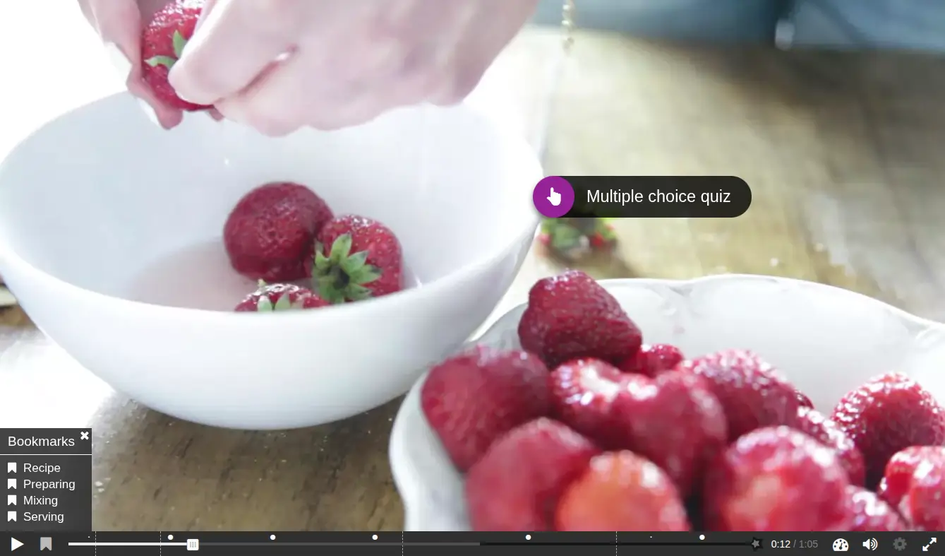 Screenshot of a reference element over the video